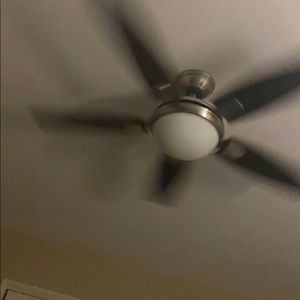 Meet your Posher, Lisandro